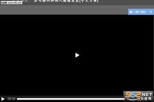 995好视频在线,探索无限精彩，畅享视听盛宴