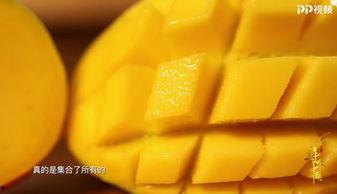 芒果小视频,轻松一刻，笑出声来