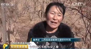 活人难临县版 视频,揭秘县版视频背后的真实故事